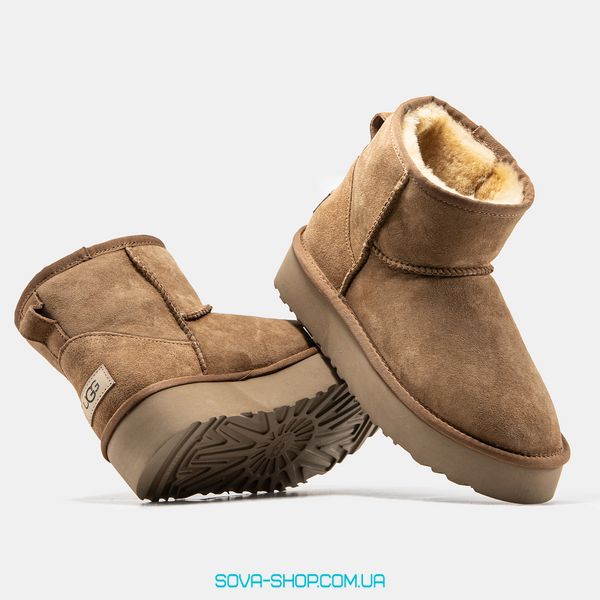 Жіночі зимові ботинки UGG Mini Platform Chestnut Premium фото