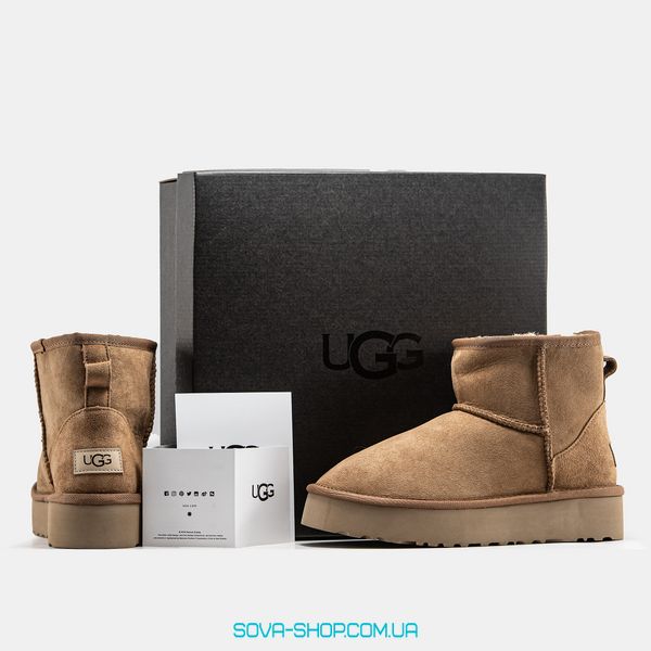 Жіночі зимові ботинки UGG Mini Platform Chestnut Premium фото