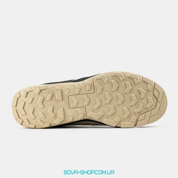 Чоловічі кросівки Terrex Skychaser Tech GORE-TEX Beige Black фото