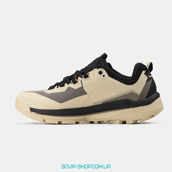 Чоловічі кросівки Terrex Skychaser Tech GORE-TEX Beige Black фото