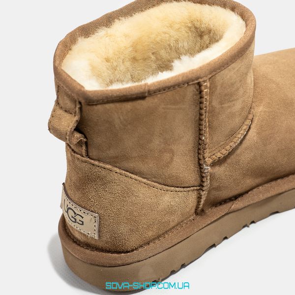Женские и мужские зимние ботинки UGG Classic Mini Chestnut Premium фото