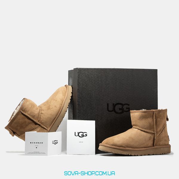 Жіночі та чоловічі зимові ботинки UGG Classic Mini Chestnut Premium фото