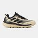 Чоловічі кросівки Terrex Skychaser Tech GORE-TEX Beige Black re-128067 фото 1