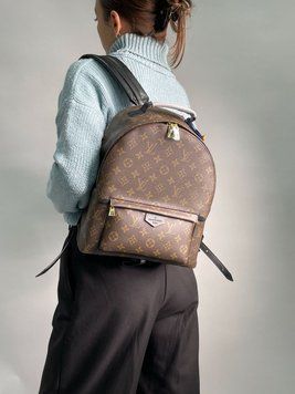 Жіночий рюкзак Louis Vuitton Palm Springs MM Brown/Black Premium фото