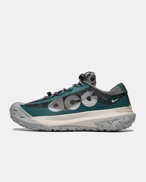 Чоловічі кросівки Nike ACG Mountain Fly Low 2 'Bicoastal' DV7903-300 фото