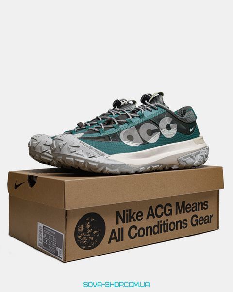 Чоловічі кросівки Nike ACG Mountain Fly Low 2 'Bicoastal' DV7903-300 фото