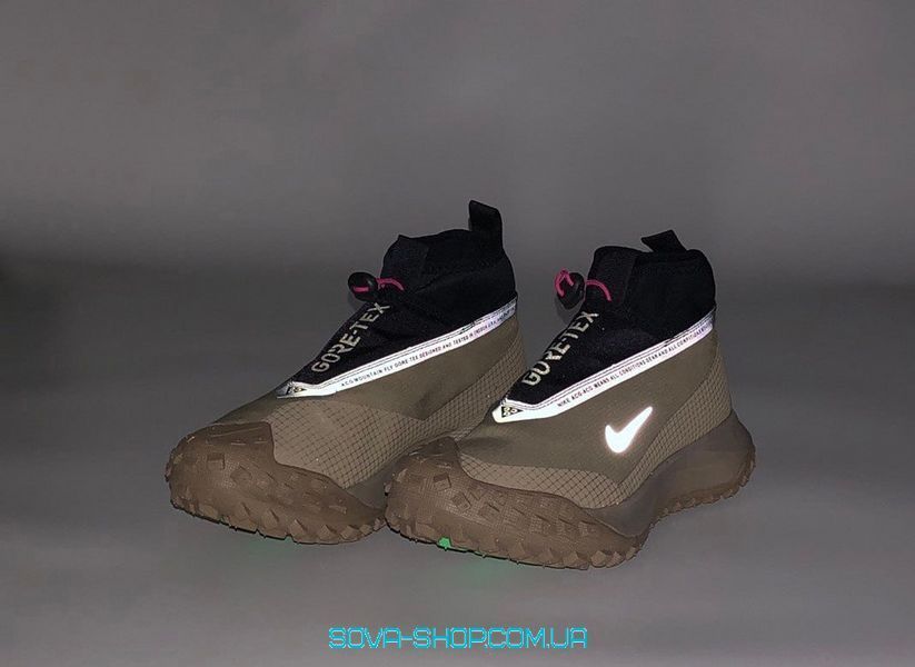 Чоловічі кросівки Nike ACG Mountain Fly GORE-TEX Brown фото