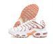 Женские кроссовки Nike Air Max Plus TN Brown Beige Orange re-126484 фото 3