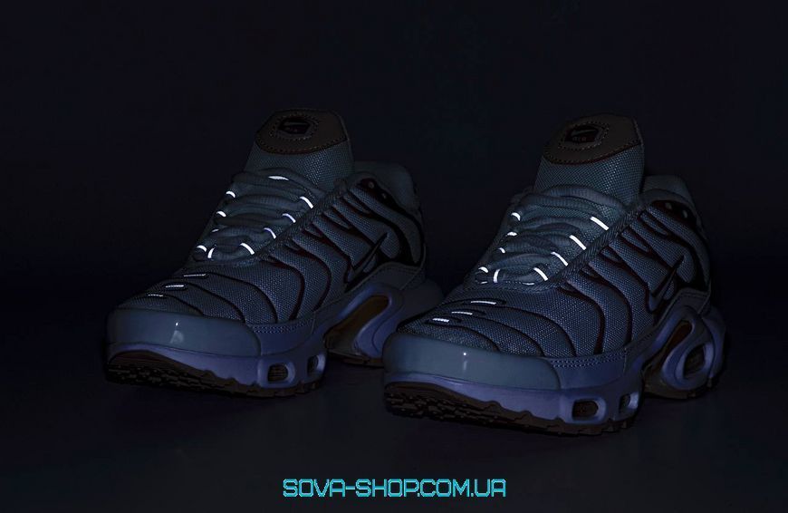 Женские кроссовки Nike Air Max Plus TN Brown Beige Orange фото