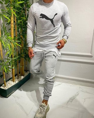 Мужской спортивный костюм Puma серый фото