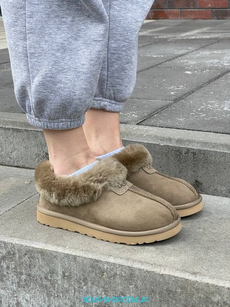 Жіночі зимові ботинки Ugg Coquette Khaki Premium фото