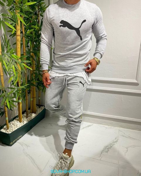 Чоловічий спортивний костюм Puma сірий фото