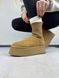 Жіночі зимові ботинки UGG Classic Dipper Boot Chestnut Premium re-10210 фото 5
