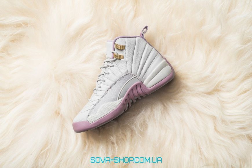 Женские баскетбольные кроссовки Air Jordan 12 Retro GG Plum Fog Nike фото