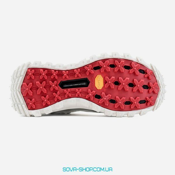 Чоловічі кросівки Moncler Trailgrip GTX 'Light Grey' фото