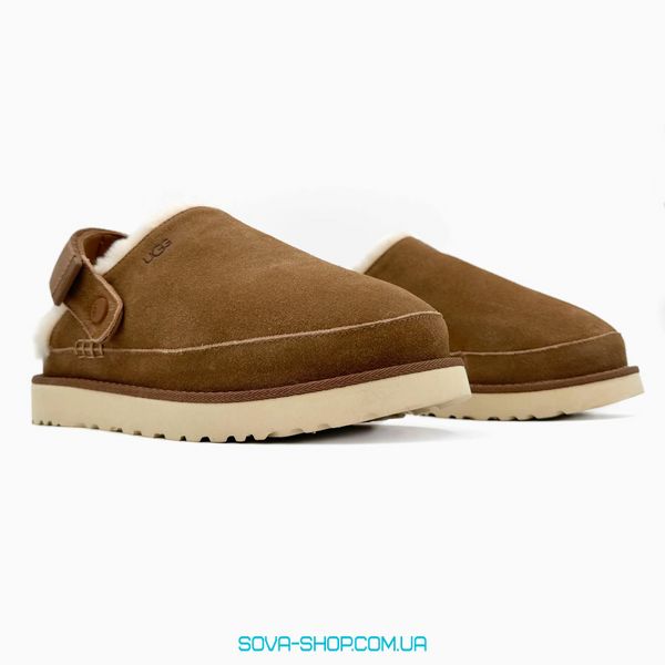 Женские зимние ботинки UGG Goldenstar Clog Chestnut PREMIUM фото