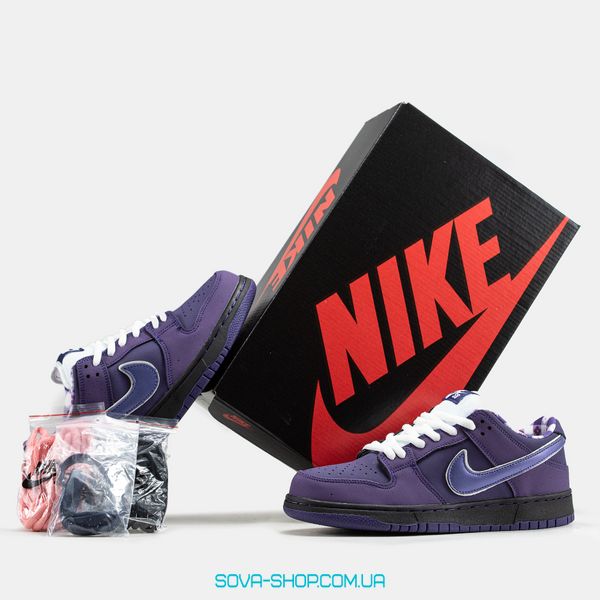 Мужские кроссовки Nike SB Dunk Low "Purple Lobster" фото