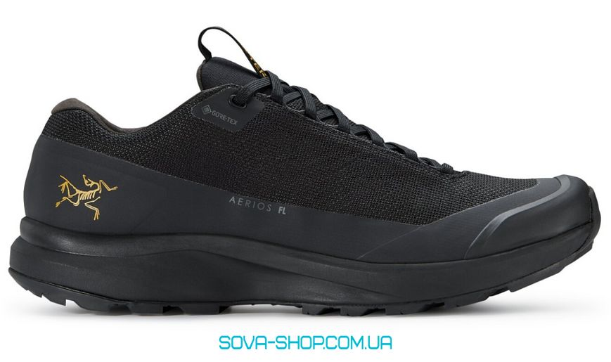 Мужские кроссовки Arc’teryx Aerios FL 2 Gtx Black фото