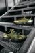 Чоловічі кросівки Adidas Prophere Olive Black re-4756 фото 4