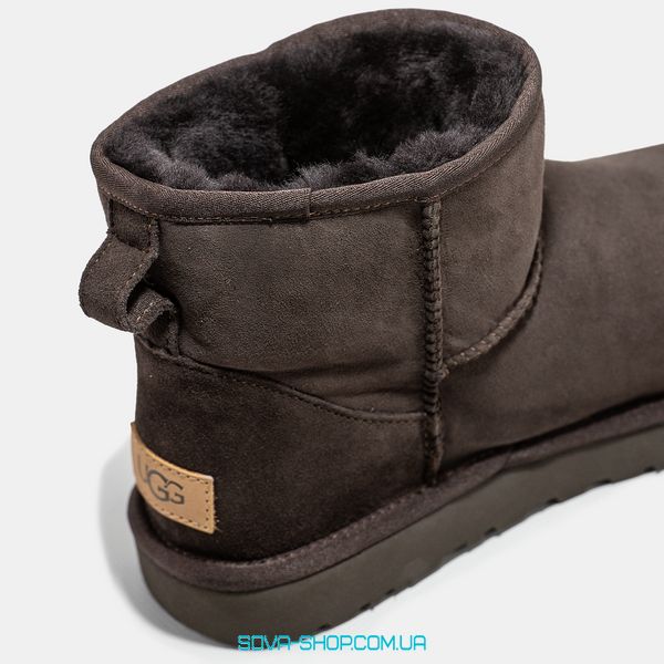 Женские и мужские зимние ботинки UGG Classic Mini Brown Premium фото