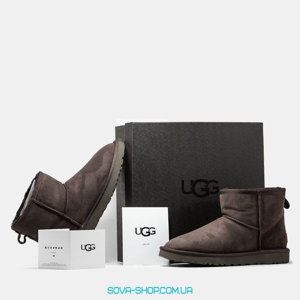 Жіночі та чоловічі зимові ботинки UGG Classic Mini Brown Premium фото