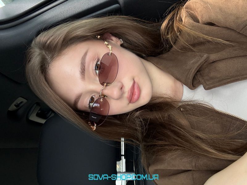 Сонцезахисні окуляри Chrome Hearts Brown/Gold GP-BRBBP-P-S 55/20/144 PILLS Premium фото