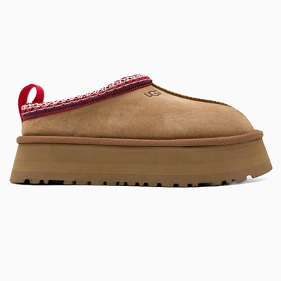 Жіночі зимові ботинки UGG Tasman Platform Chestnut PREMIUM фото