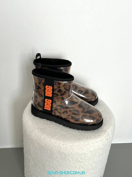 Жіночі зимові ботинки UGG Classic Clear Mini Leo фото