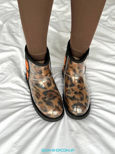 Жіночі зимові ботинки UGG Classic Clear Mini Leo фото