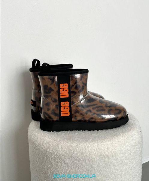 Жіночі зимові ботинки UGG Classic Clear Mini Leo фото