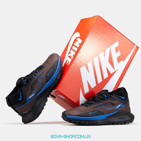 Чоловічі кросівки Nike Pegasus Trail 4 Gore-Tex Brown Blue фото