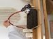 Женская сумка Louis Vuitton IVY Wallet on Chain bag Premium re-128708 фото 11