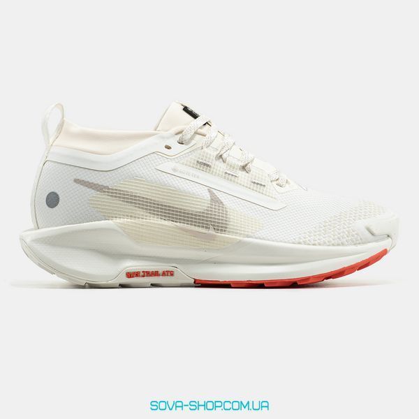 Чоловічі кросівки Nike Pegasus Trail 5 Gore-Tex 'Beige' фото