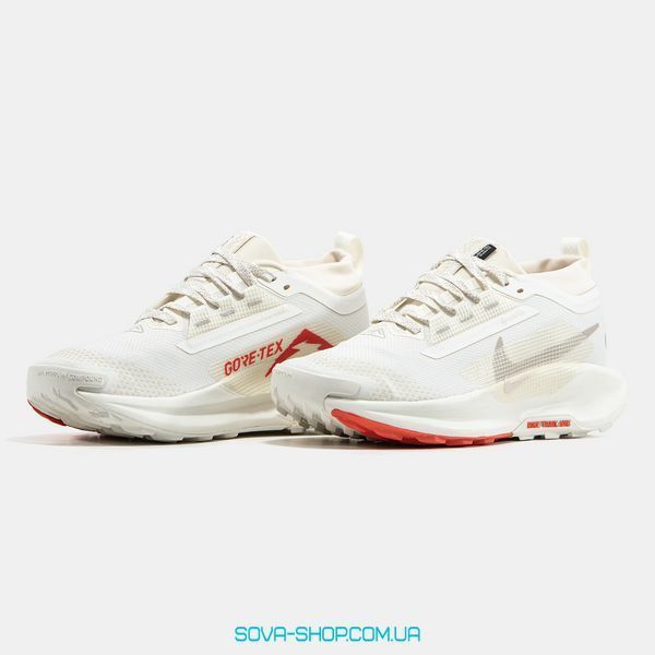 Чоловічі кросівки Nike Pegasus Trail 5 Gore-Tex 'Beige' фото