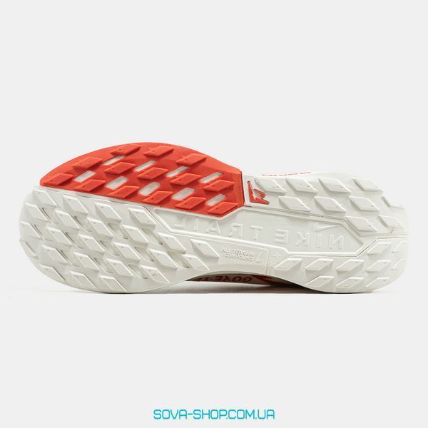 Чоловічі кросівки Nike Pegasus Trail 5 Gore-Tex 'Beige' фото