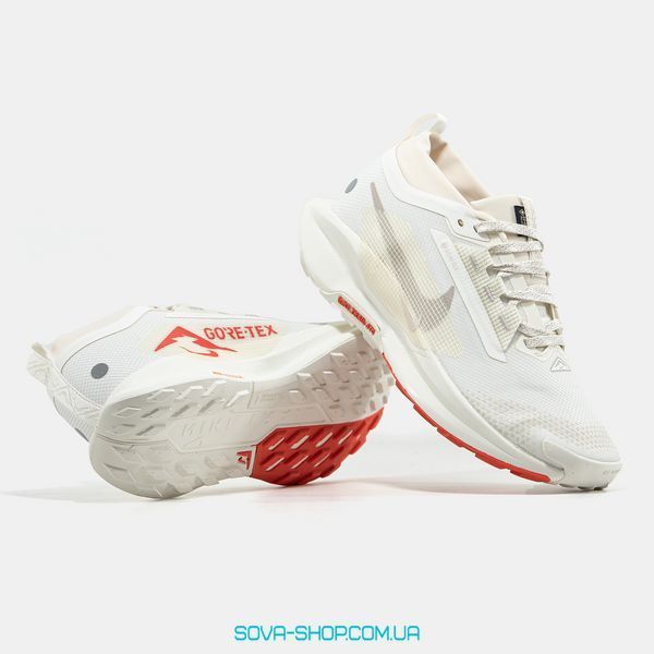Чоловічі кросівки Nike Pegasus Trail 5 Gore-Tex 'Beige' фото