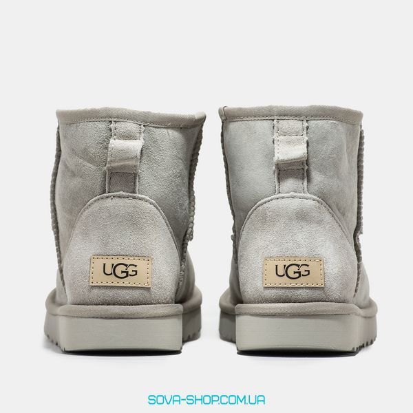 Женские зимние ботинки UGG Classic Mini Light Grey Premium фото