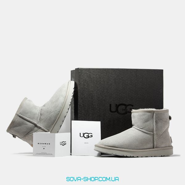 Жіночі зимові ботинки UGG Classic Mini Light Grey Premium фото