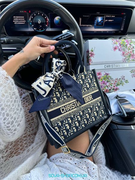 Женская сумка Christian Dior Medium Book Tote Bag in Blue Dior Oblique Embroidered Canvas Premium фото