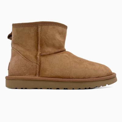 Жіночі зимові ботинки UGG Classic Mini Chestnut PREMIUM фото