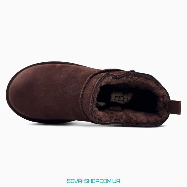 Жіночі зимові ботинки UGG Classic Micro Boot Brown PREMIUM фото