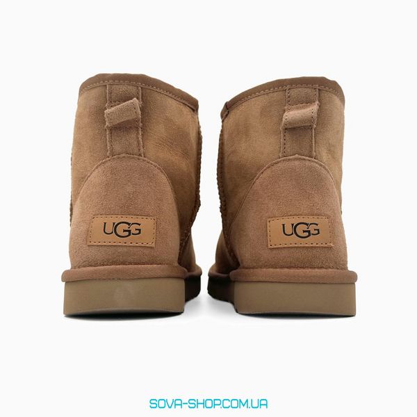 Женские зимние ботинки UGG Classic Mini Chestnut PREMIUM фото