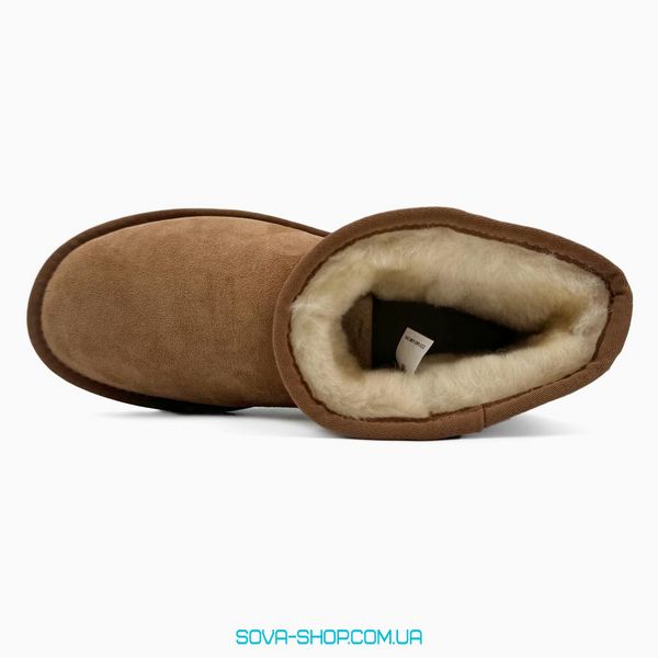 Жіночі зимові ботинки UGG Classic Mini Chestnut PREMIUM фото