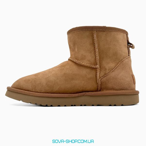 Жіночі зимові ботинки UGG Classic Mini Chestnut PREMIUM фото