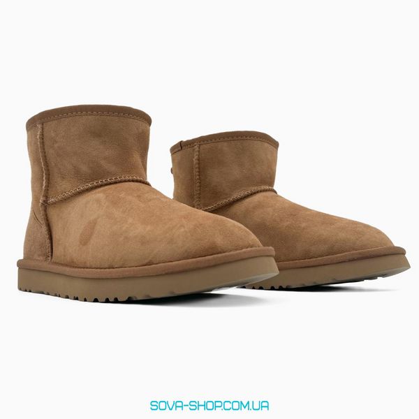 Женские зимние ботинки UGG Classic Mini Chestnut PREMIUM фото