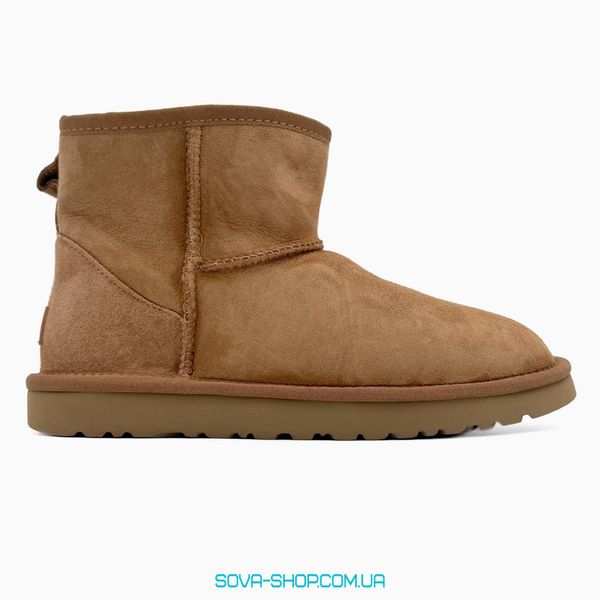 Жіночі зимові ботинки UGG Classic Mini Chestnut PREMIUM фото