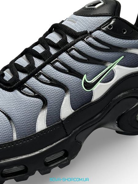 Чоловічі кросівки Nike Air Max Plus Gray Black Silver фото