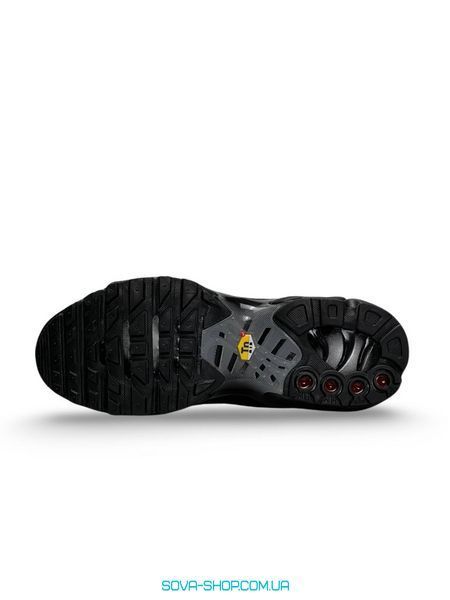 Чоловічі кросівки Nike Air Max Plus Gray Black Silver фото